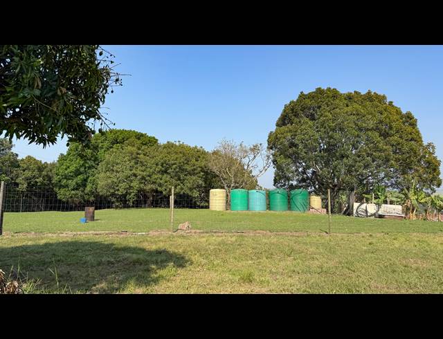 104,000M² FARM FOR SALE IN BALLITO RURAL